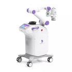 Robot per moxibustione Deyee AI - Versione standard