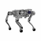 MirrorMe Black Panther X offener Vierbeiner-Roboter in Industriequalität