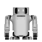 Robot humanoïde universel Noetix Dora