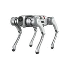 Pudu Robotics D5