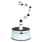 Robot composito Realman Robotics RMC-BA