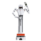Realman DAP-D-65 Plataforma de desarrollo de IA encarnada de doble brazo