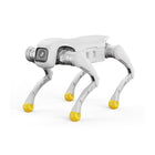AGIBOT D1: robot quadrupede per l'istruzione