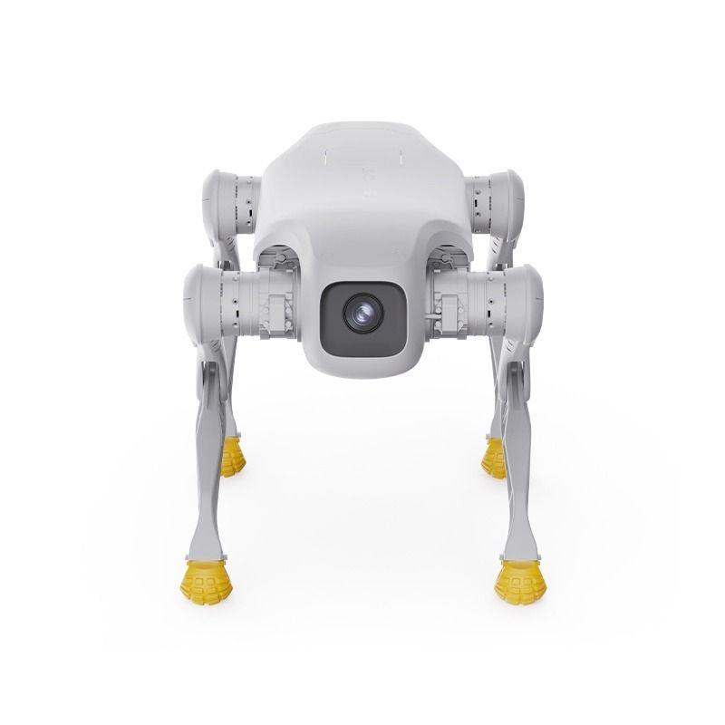 AGIBOT D1 Edu Quadruped Robot