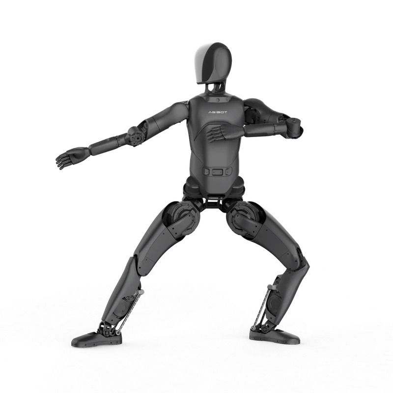 AGIBOT X2 Lite Full