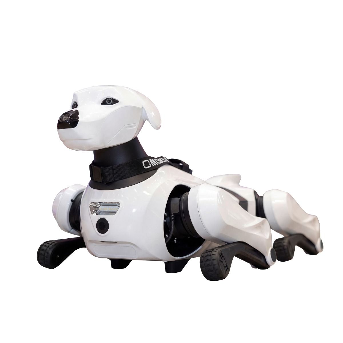 AiMOGA Argos Quadruped Robot Dog