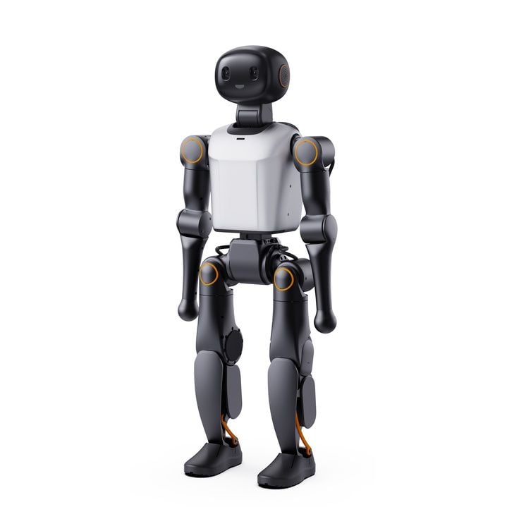 Booster Robotics K1 Professional Edition Humanoid Robot