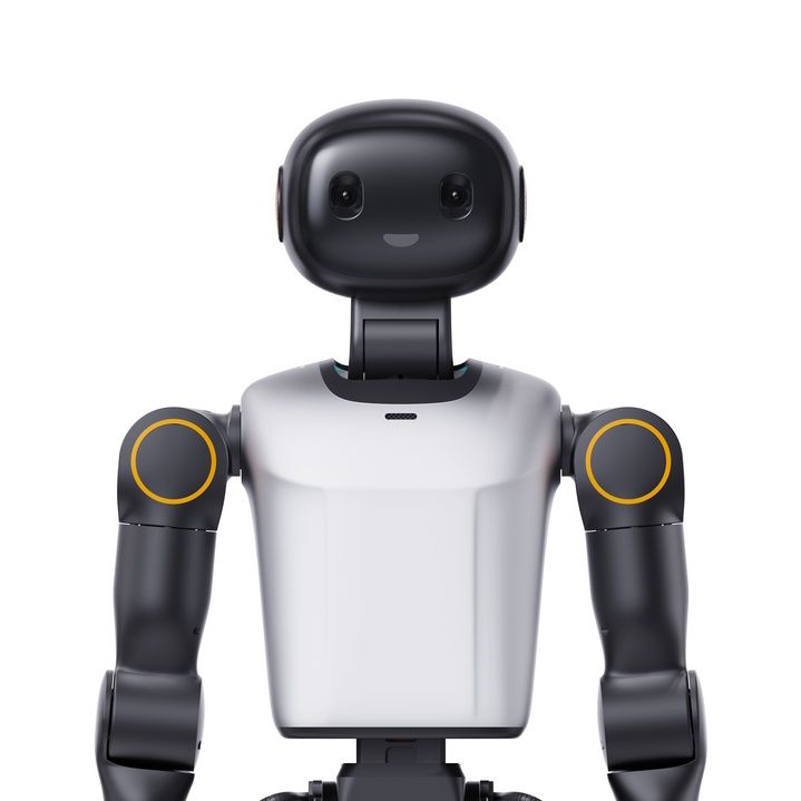 Booster Robotics K1 Humanoid Robot