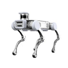 Chien robot quadrupède industriel Deep Robotics X20