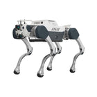 Deep Robotics X30 Pro: cane robot quadrupede industriale