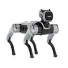 MagicLab MagicDog Dört Ayaklı Robot