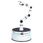 Realman Robotics RMC-BA összetett robot