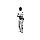 RobotEra Star1, robot umanoide